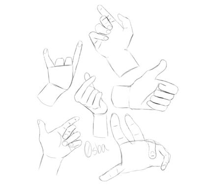 Hands Study